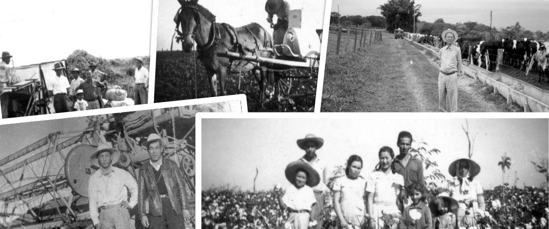 Nossa História